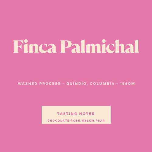 Finca Palmichal