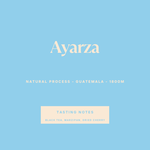 Ayarza