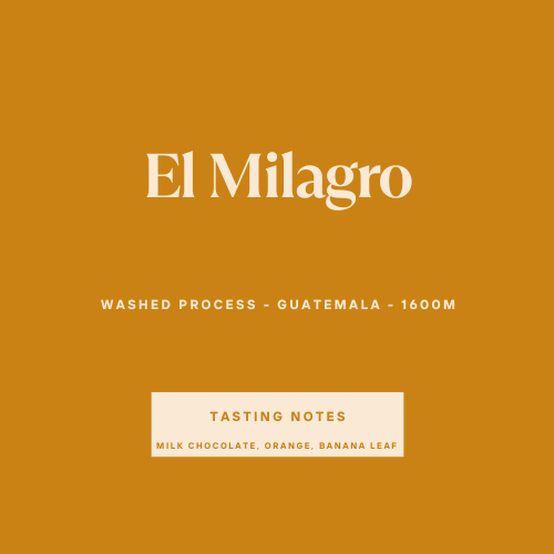 El Milagro