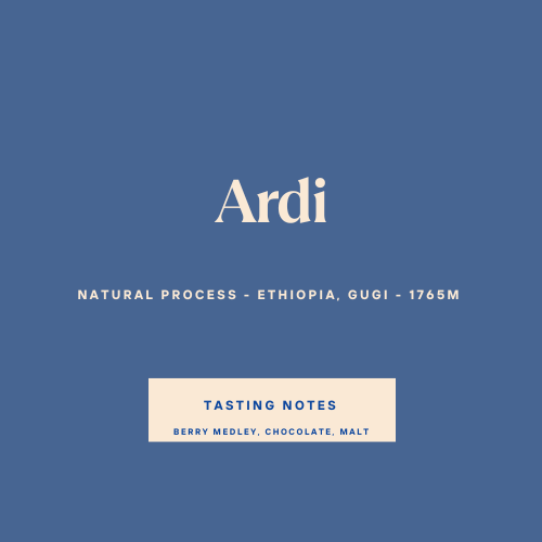 Ardi