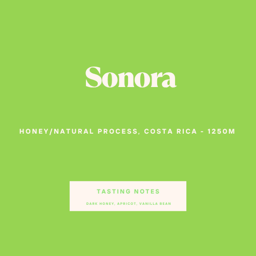 Sonora