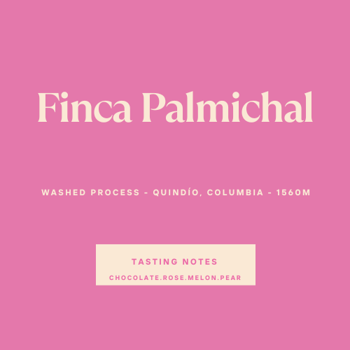 Finca Palmichal
