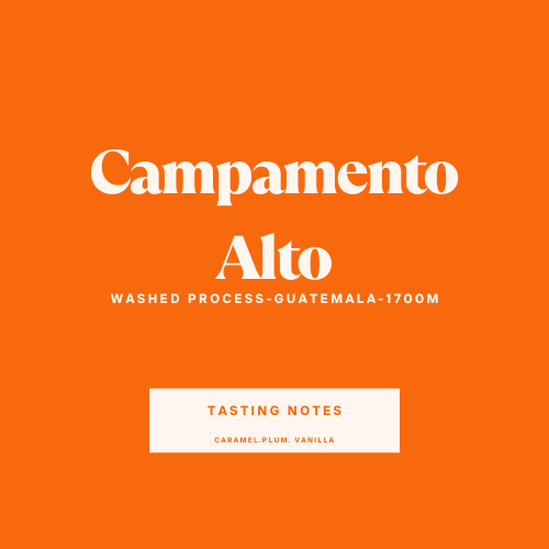 Campamento Alto