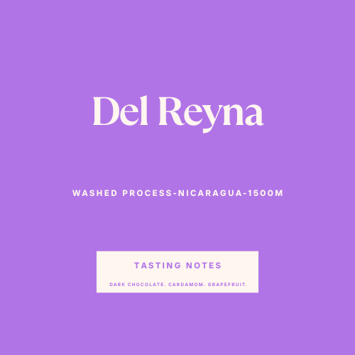 Del Reyna